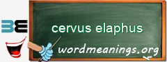 WordMeaning blackboard for cervus elaphus